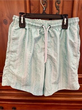 Tackle & Tides Light Mint Swim Shorts